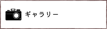 ギャラリー