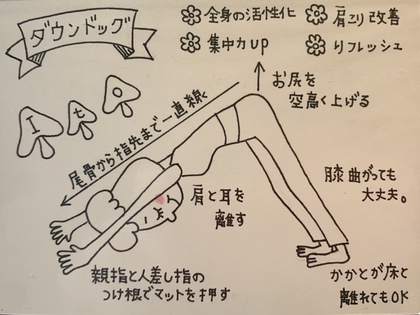 身体は硬く、運動不足、肩こり、冷え性、と沢山の悩みを抱えていた私